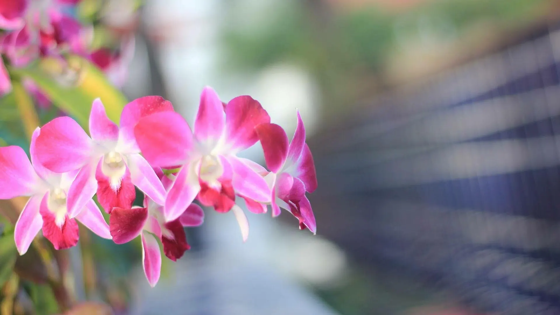 **  Phongpipat Lanta Mansion Hotel Koh Lanta Thailand